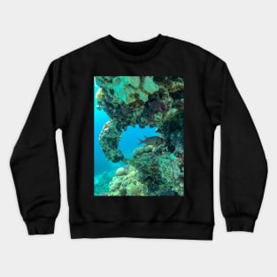 Coral reef and scuba diver Crewneck Sweatshirt